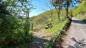 Mehr über den Artikel erfahren Müll und Vandalismus: Warum die beliebten Bänke unter der Paschenburg in Rinteln abgebaut wurden